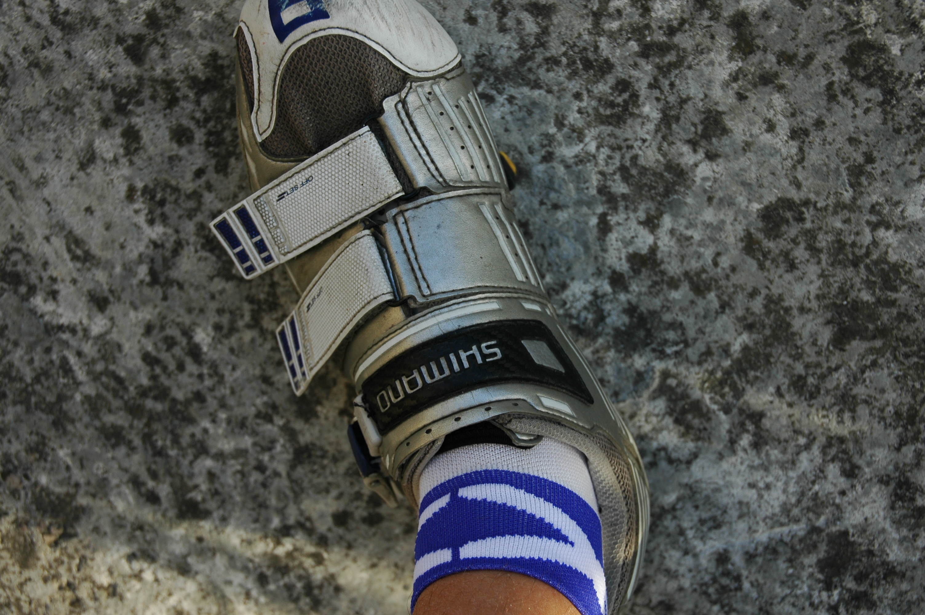 Scottish Racing Socks